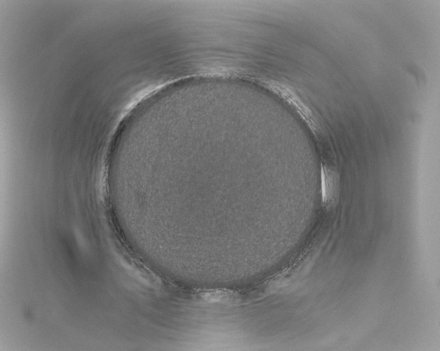 X0000115040579200911161529