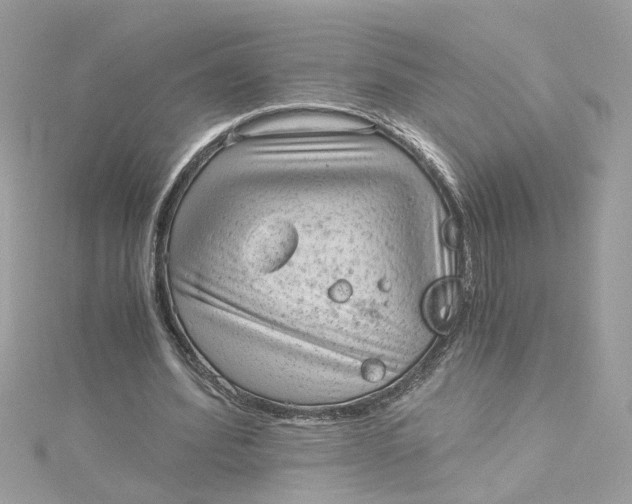 X0000115040580200911161529