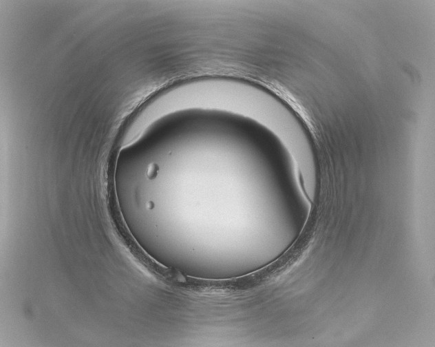 X0000115040581200911161529