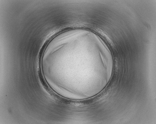 X0000115040582200911161529