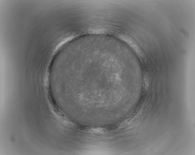 X0000115040583200911161529