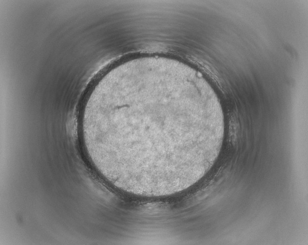 X0000115040584200911161529