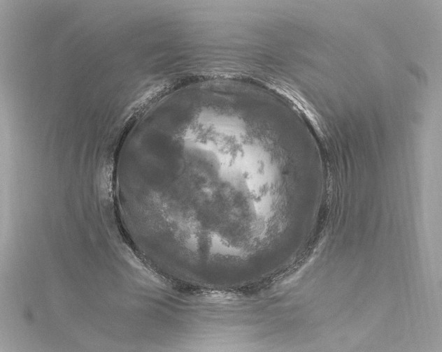 X0000115040585200911161529