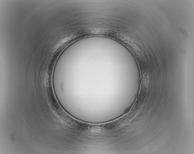 X0000115040587200911161529