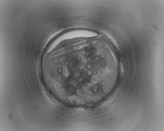 X0000115040588200911161529