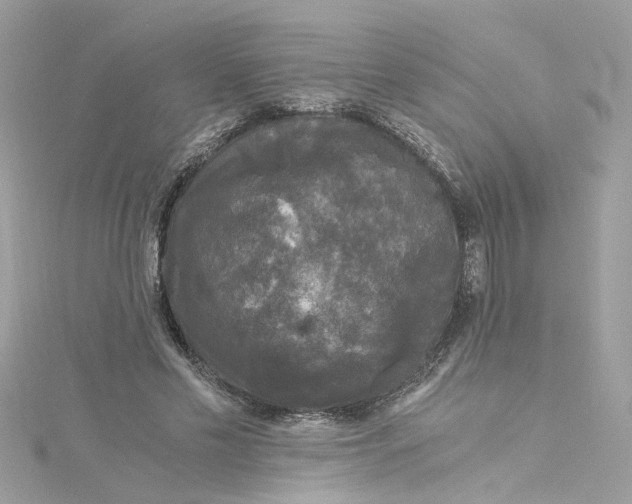 X0000115040589200911161529