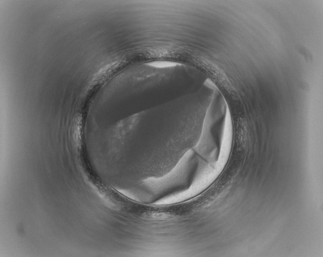 X0000115040590200911161529