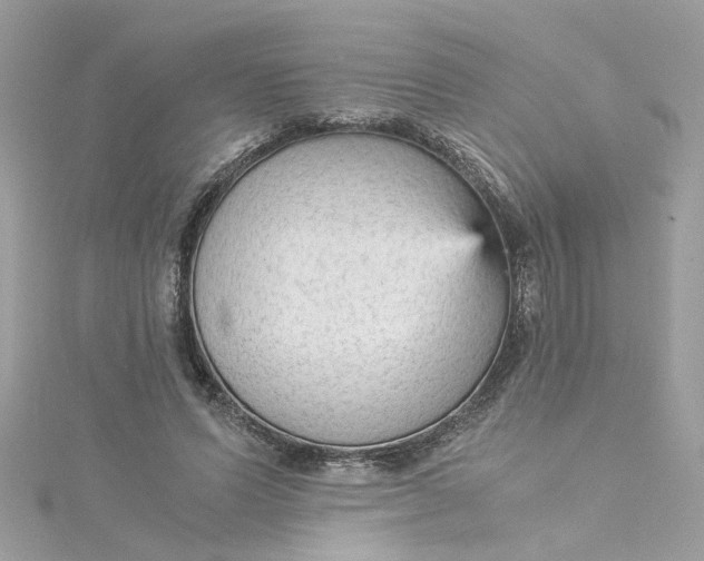 X0000115040591200911161529