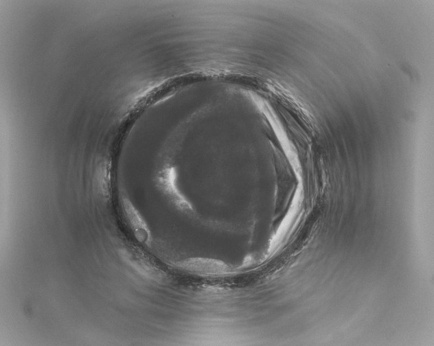 X0000115040592200911161529