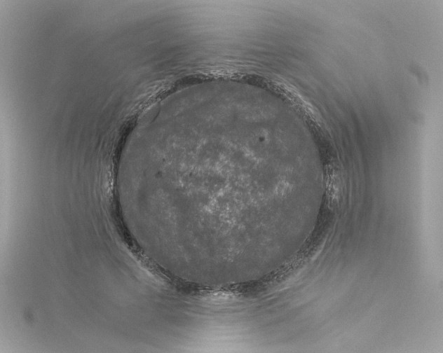 X0000115040593200911161529