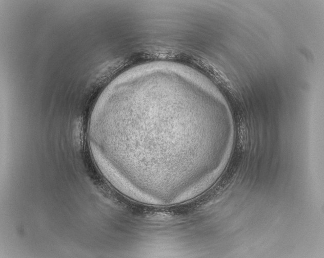 X0000115040594200911161529