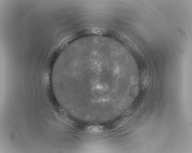 X0000115040595200911161529