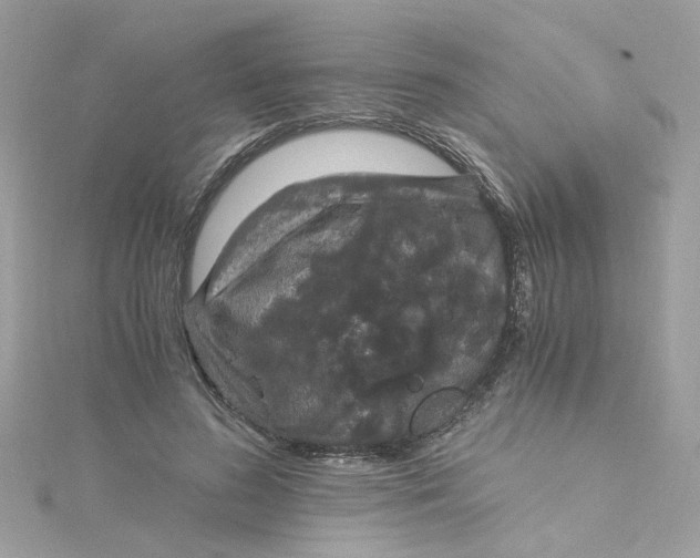 X0000115040596200911161529