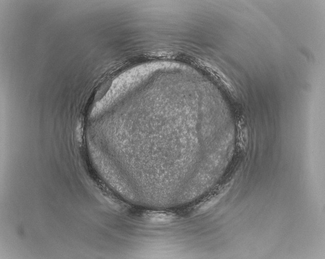 X0000115040597200911161529