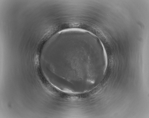 X0000115040598200911161529