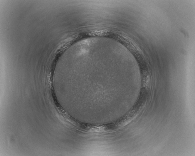 X0000115040599200911161529