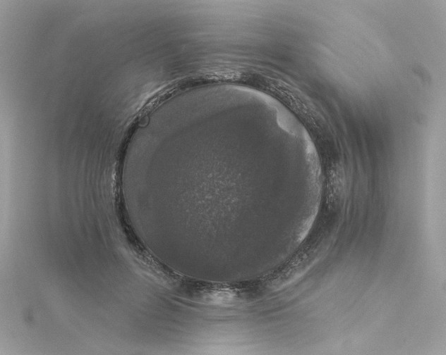 X0000115040600200911161529