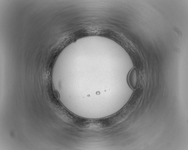 X0000115040601200911161529