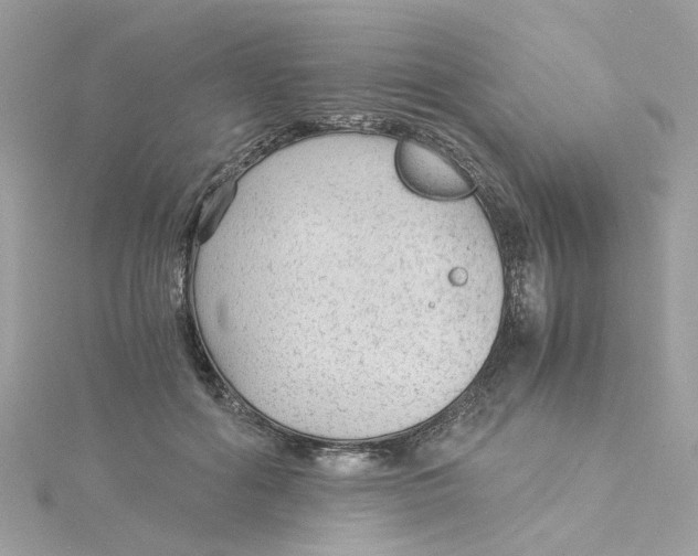 X0000115040602200911161529