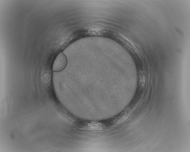 X0000115040603200911161529