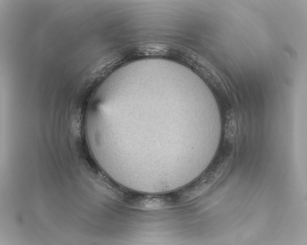 X0000115040604200911161529