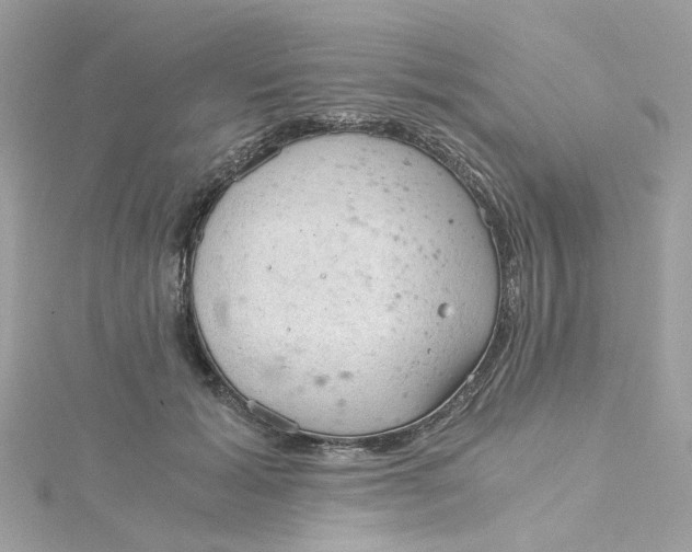 X0000115040605200911161529