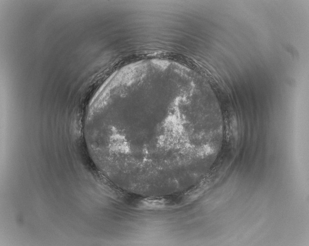 X0000115040606200911161529