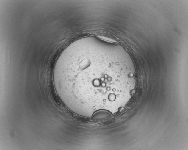 X0000115040608200911161529