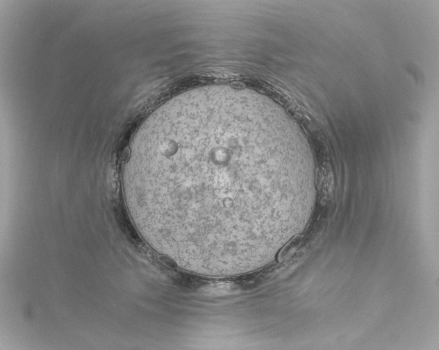 X0000115040609200911161529