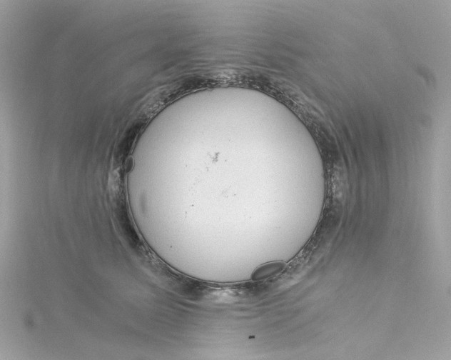 X0000115040611200911161528