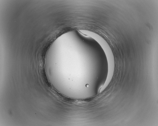 X0000115040617200911161528