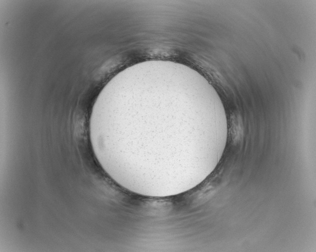 X0000115040619200911161528