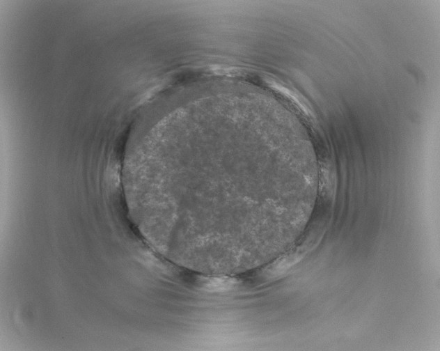 X0000115040621200911161528