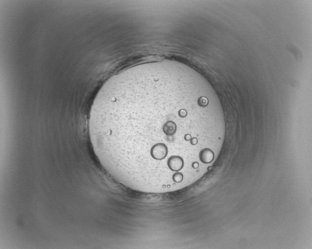 X0000115040624200911161528