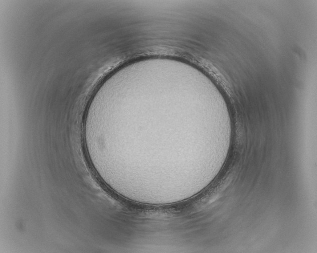 X0000115040625200911161528