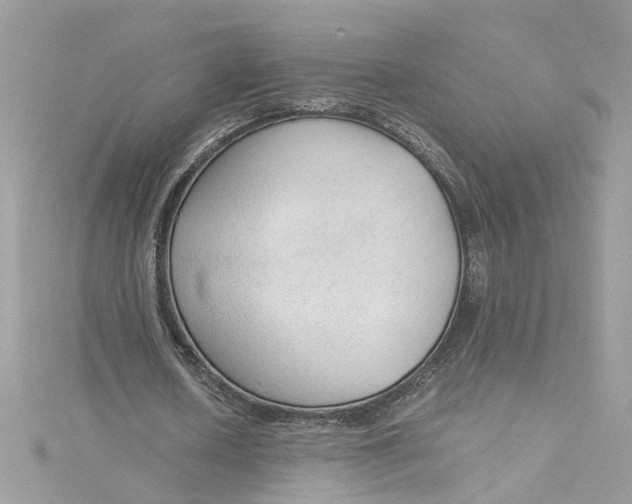 X0000115040626200911161528