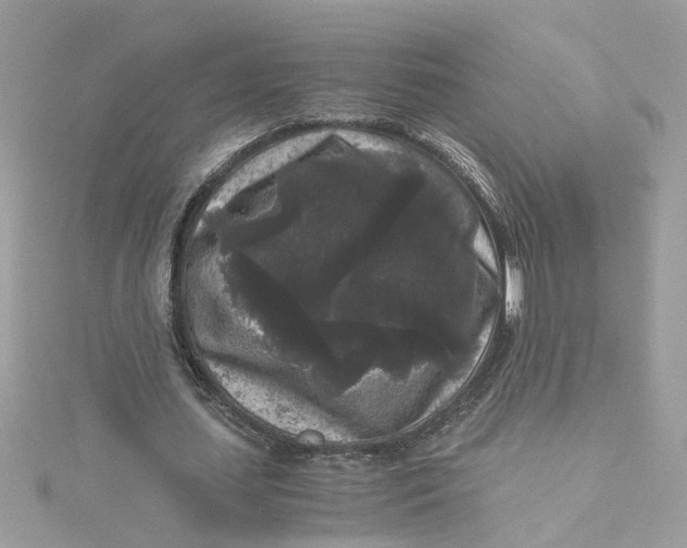 X0000115040627200911161528