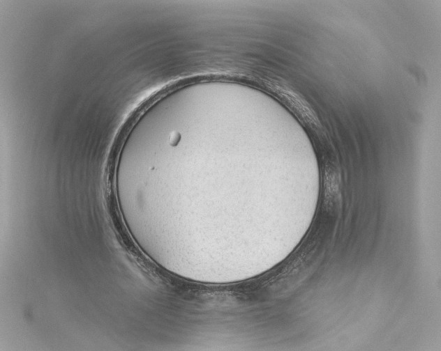 X0000115040628200911161528