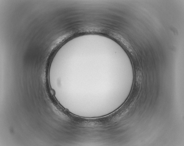 X0000115040629200911161528