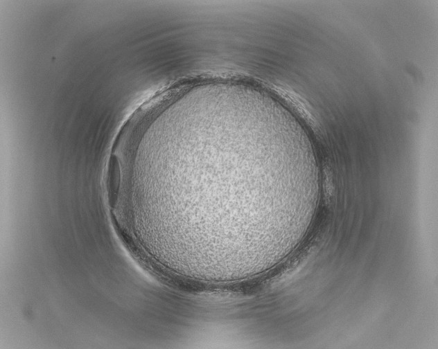 X0000115040630200911161528