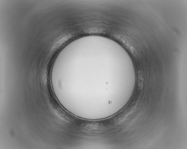 X0000115040631200911161528