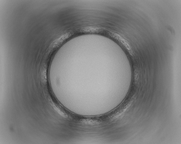 X0000115040633200911161528