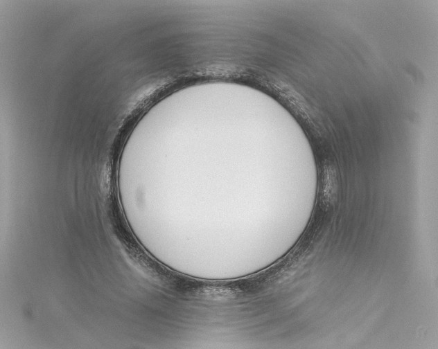 X0000115040636200911161528