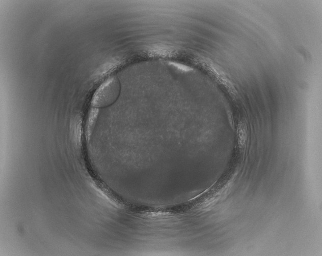 X0000115040637200911161528