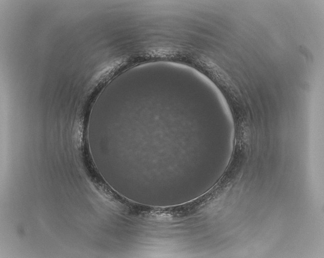 X0000115040640200911161528