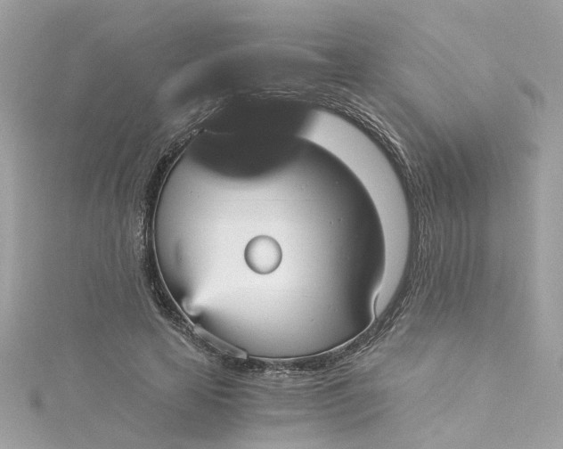 X0000115040641200911161528