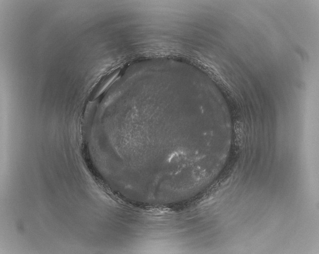 X0000115040642200911161528