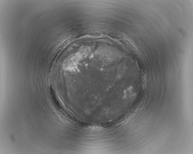 X0000115040644200911161528