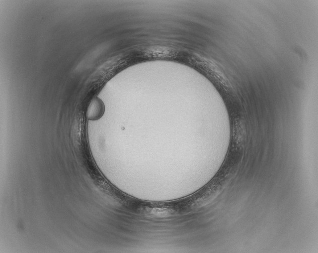 X0000115040645200911161528