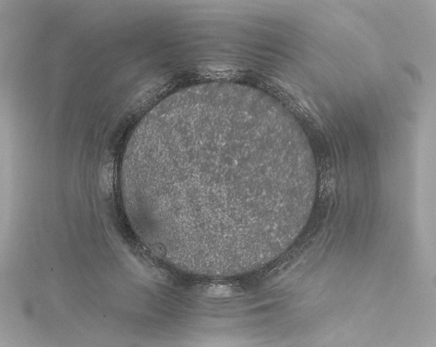 X0000115040647200911161528